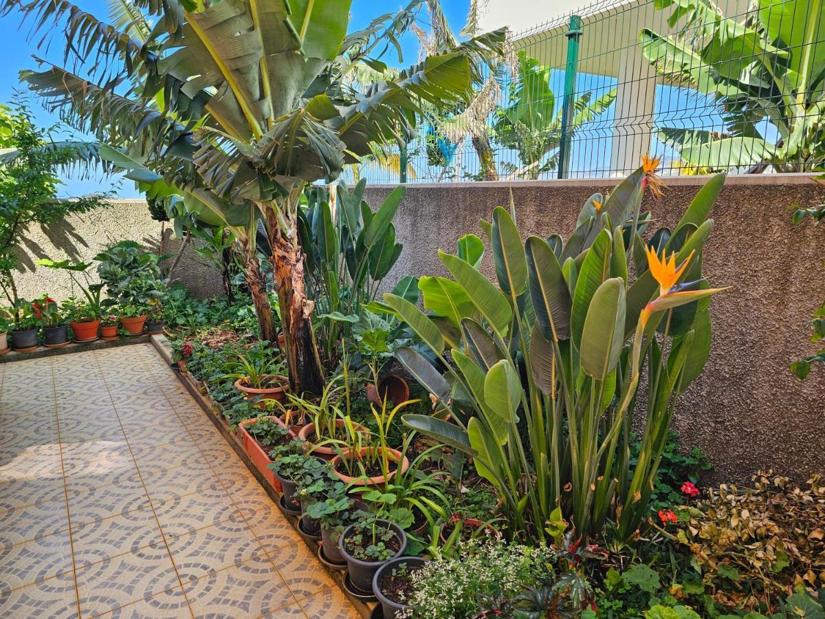 Casa De Feria Do Livramento Villa Funchal  Exteriör bild