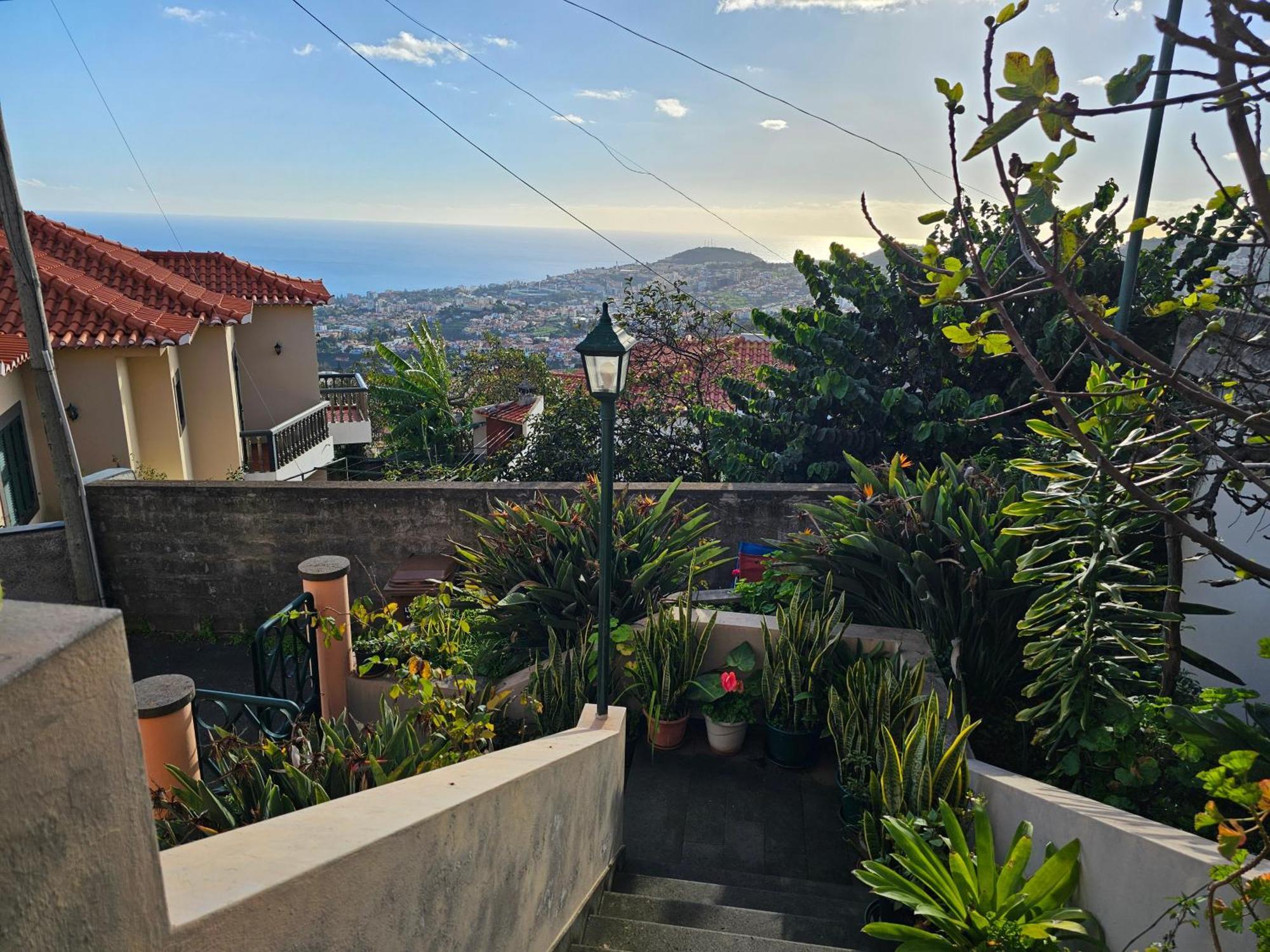 Casa De Feria Do Livramento Villa Funchal  Exteriör bild